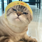 Crysta1is's Avatar'