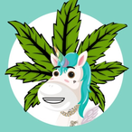 Boarsalino's Avatar'