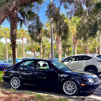 LuckyPickle6's Avatar'