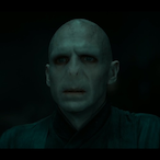 Lord-Kaltsit's Avatar'