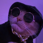 S1h1u1S1h1a1n's Avatar'