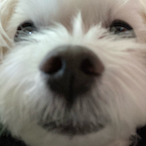 ran_dal_'s Avatar'