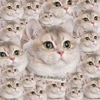 ShiiKyWeS's Avatar'