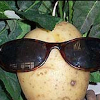 TheBoolingPotato's Avatar'