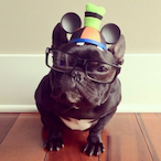 LL STIMS LL's Avatar'