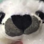 cxcc06's Avatar'