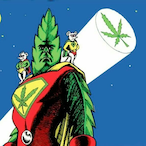 Dojobb's Avatar'