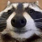 itsaskything.'s Avatar'