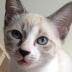 Dappunmaru's Avatar'