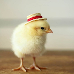 Darkeater.Midir's Avatar