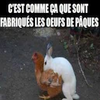 r6-__-biscot's Avatar'