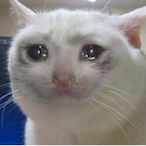 xCelticxAngelx's Avatar'
