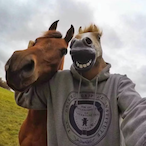 SzCowHorse's Avatar'