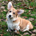 Milky_Hulk's Avatar'