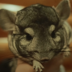 GOON_PRO_MAX's Avatar'