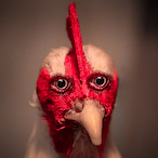 lil_slyboon's Avatar'