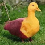Sweet_duck's Avatar'