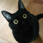 Kuroneko_VTEC's Avatar'