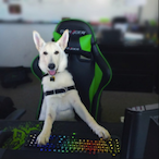 Orzemekv2's Avatar'