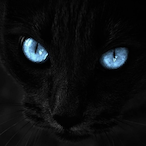 zZeru_'s Avatar'