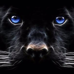 Duck-Panther790's Avatar'