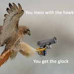 Wohckhardt's Avatar'