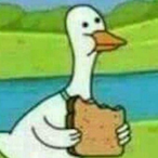 knqki's Avatar'