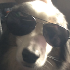joland12345's Avatar'