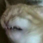 Butter.San's Avatar'