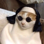 flotteotto1's Avatar'
