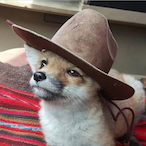 CactusV1's Avatar'
