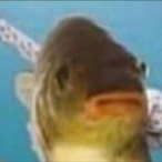 CancerDelPulmon's Avatar'