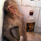 FreakiestFlea's Avatar'