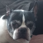 LethalEncryption's Avatar'