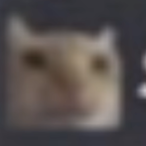 Toebie_'s Avatar'