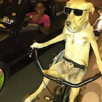 BlairTheMLGPro's Avatar'