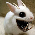 FluffyNutrButr's Avatar'