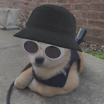 brokeboibrando's Avatar'