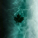 Collapse.-'s Avatar'