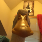 DustyDultz's Avatar'