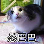 ZHUOtong's Avatar'