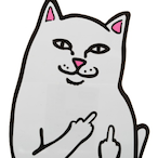 NRNSBence's Avatar'