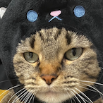 CaptainFalken11's Avatar'