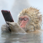 mmoonnkkee's Avatar'