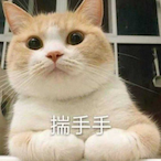 chiaiwu's Avatar'