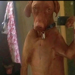 CrazyKoepek's Avatar'
