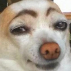TheMayoestMan's Avatar'