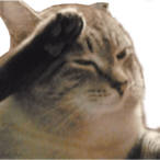 uhmhoIy's Avatar'
