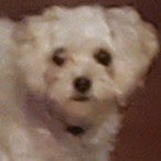 Stone_42's Avatar'