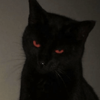 ihy.'s Avatar'